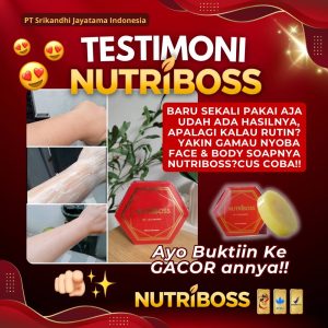 photo_2025-11-18_18-01-18